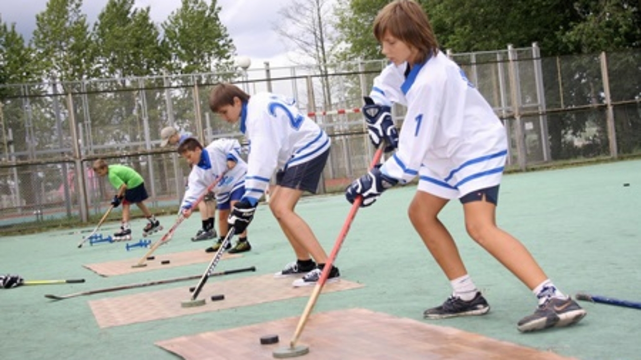 1386683772_skola-hokkei3